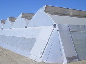 大棚膜的厚度對種植有影響嗎